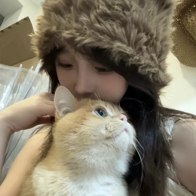 就爱你的谎