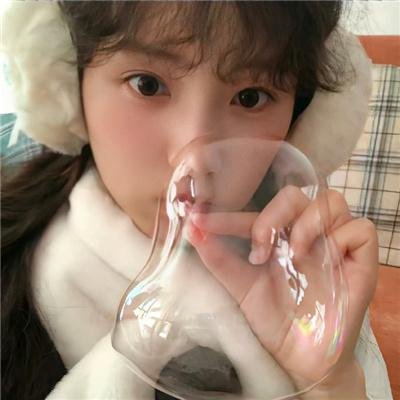 我的会长大人